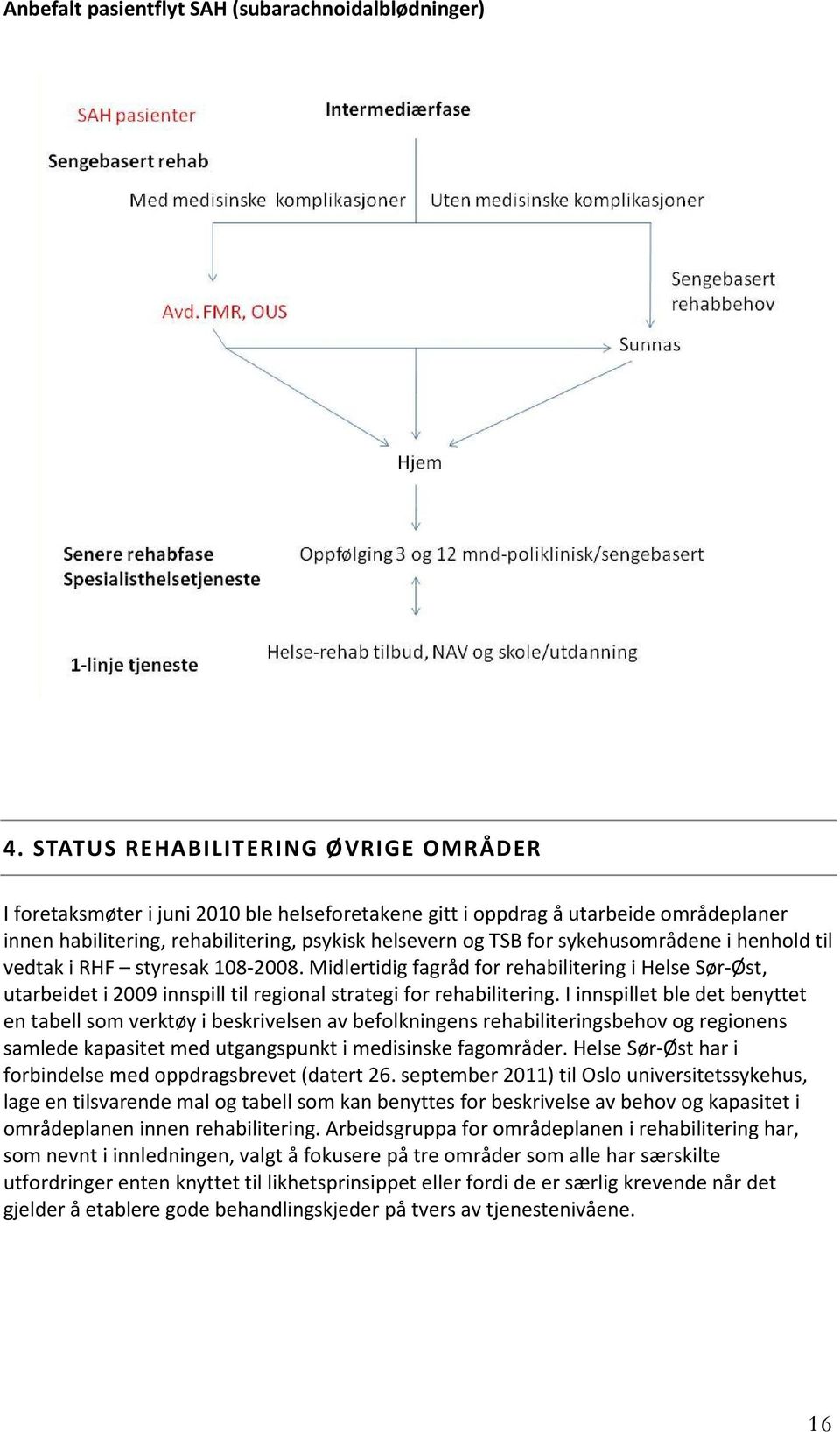 sykehusområdene i henhold til vedtak i RHF styresak 108-2008. Midlertidig fagråd for rehabilitering i Helse Sør-Øst, utarbeidet i 2009 innspill til regional strategi for rehabilitering.