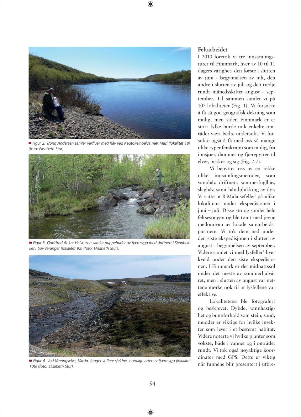 Ved Næringselva, Vardø, fanget vi flere sjeldne, nordlige arter av fjærmygg (lokalitet 106) (foto: Elisabeth Stur).