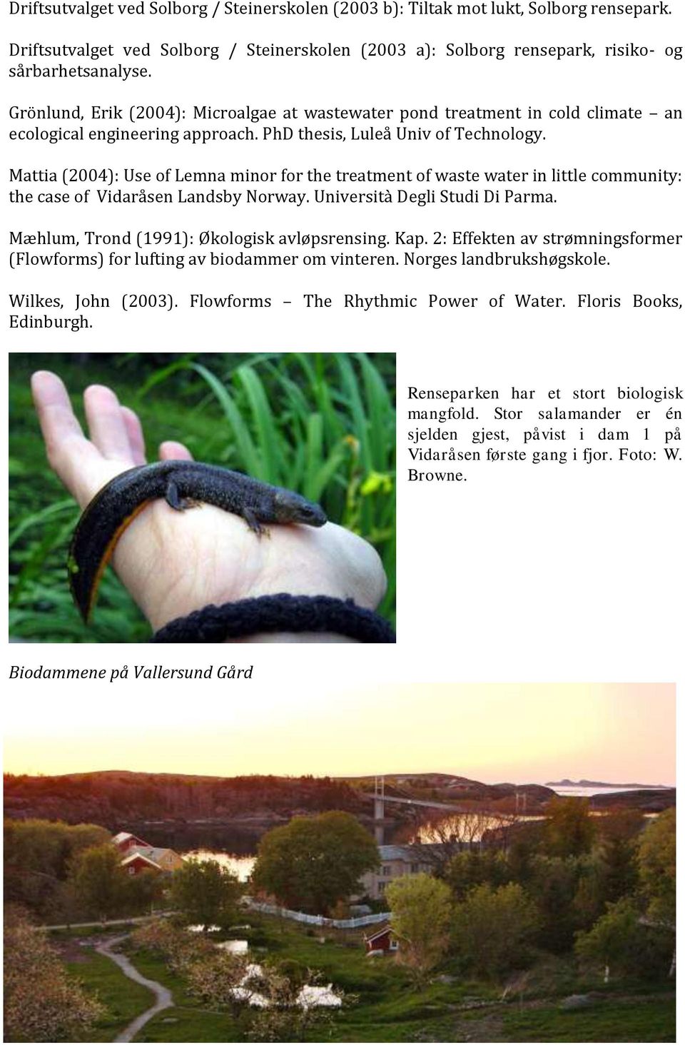 Mattia (2004): Use of Lemna minor for the treatment of waste water in little community: the case of Vidaråsen Landsby Norway. Università Degli Studi Di Parma.