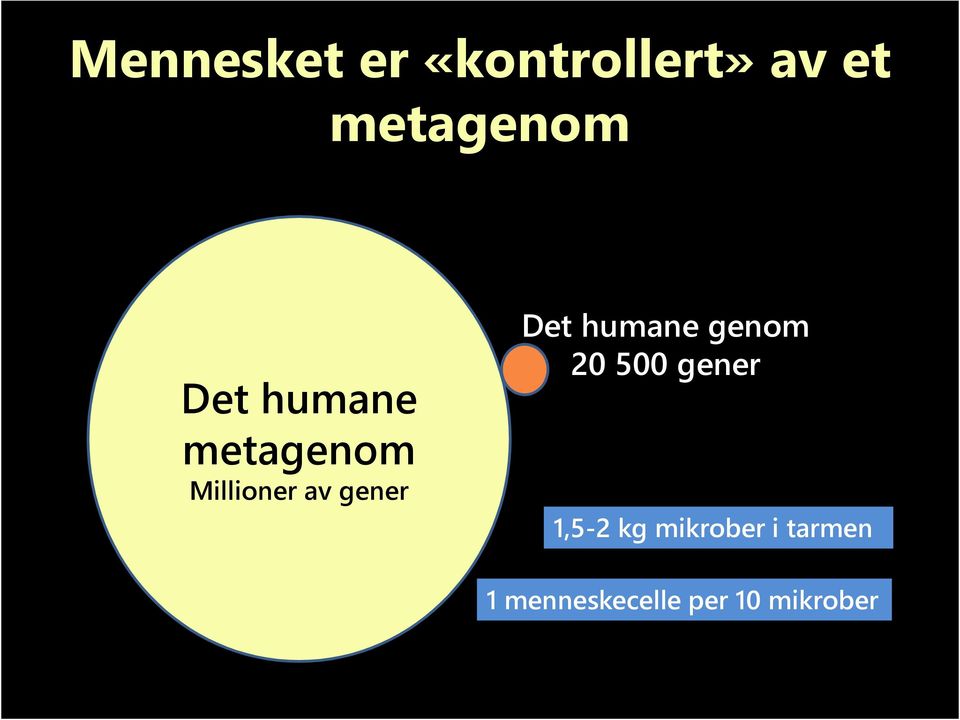 Det humane genom 20 500 gener 1,5-2 kg