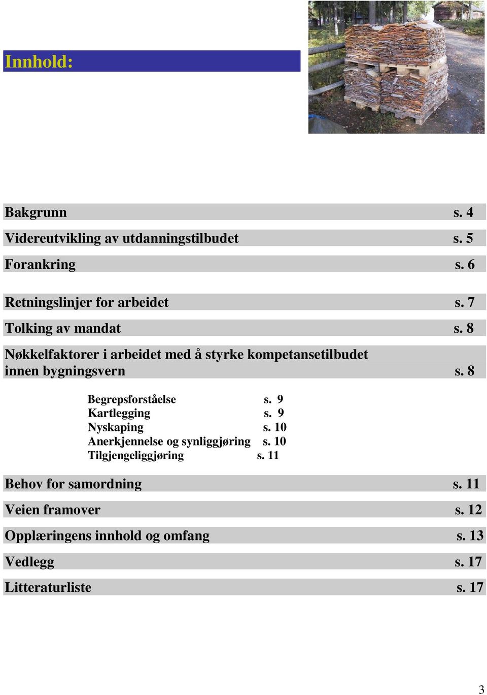 8 Begrepsforståelse s. 9 Kartlegging s. 9 Nyskaping s. 10 Anerkjennelse og synliggjøring s.