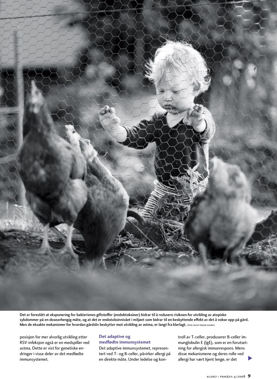 foto: david trood/scanpix posisjon for mer alvorlig utvikling etter RSV-infeksjon også er en medspiller ved astma. Dette er vist for genetiske endringer i visse deler av det medfødte immunsystemet.