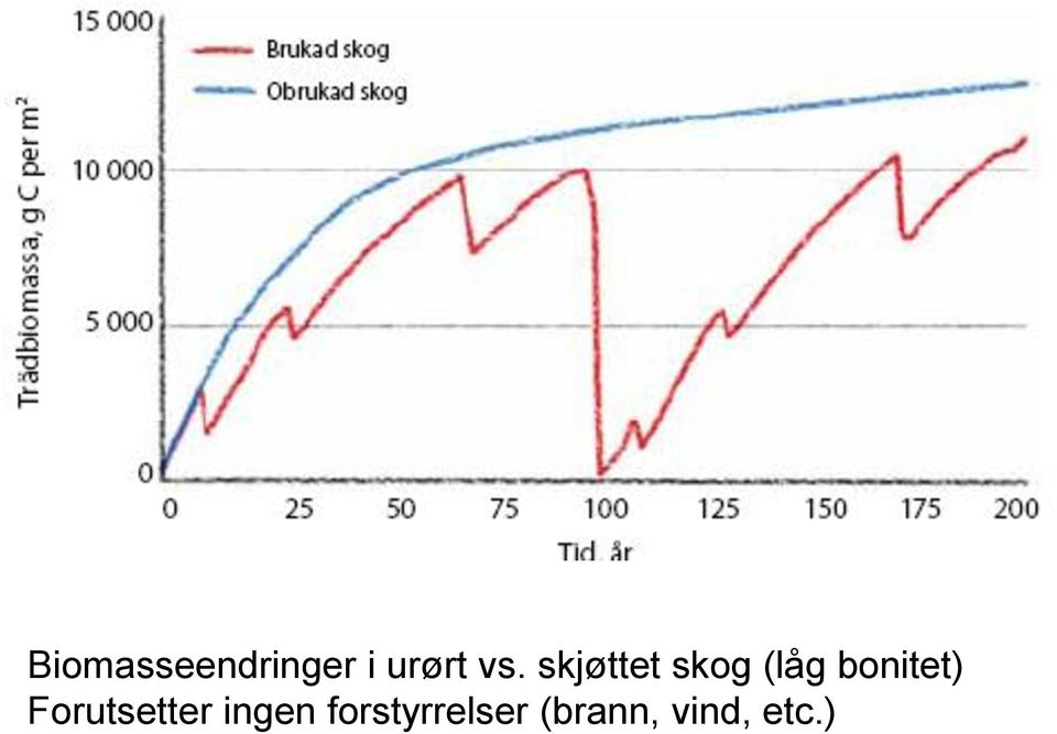 bonitet) Forutsetter ingen