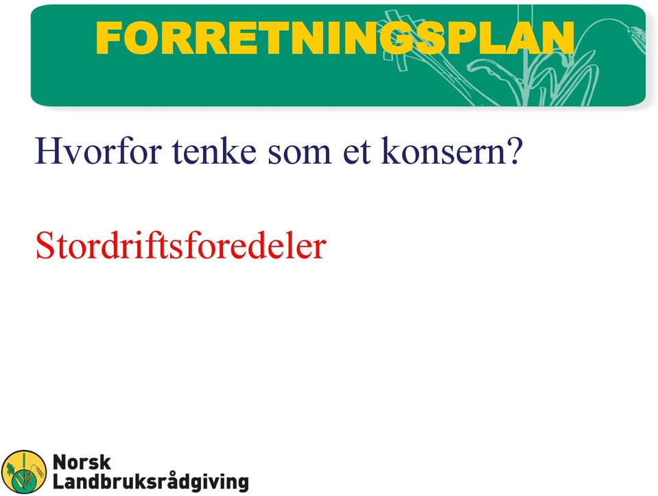 som et konsern?