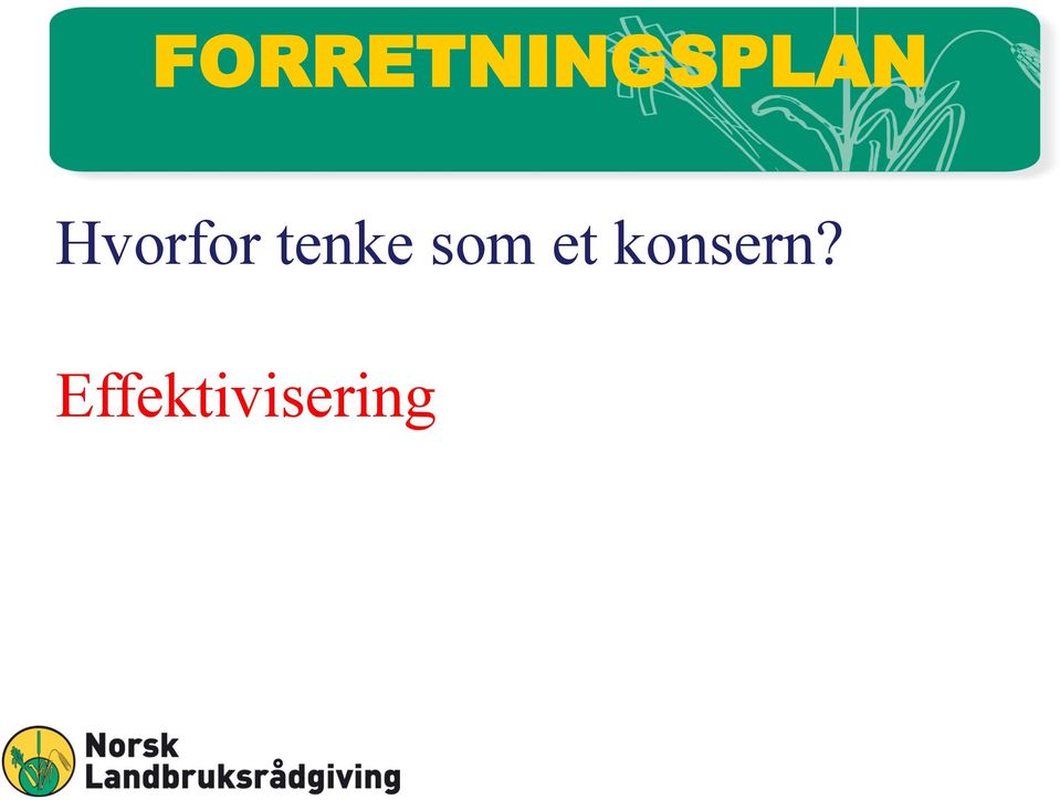 som et konsern?