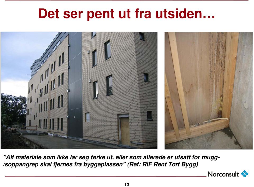 allerede er utsatt for mugg- /soppangrep