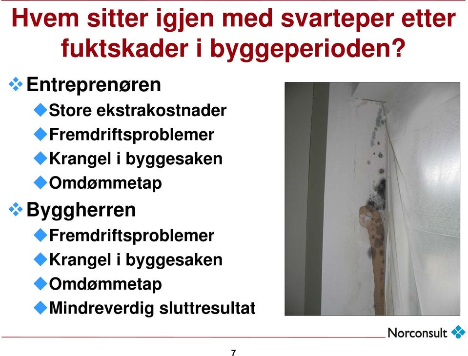 Entreprenøren Store ekstrakostnader Fremdriftsproblemer