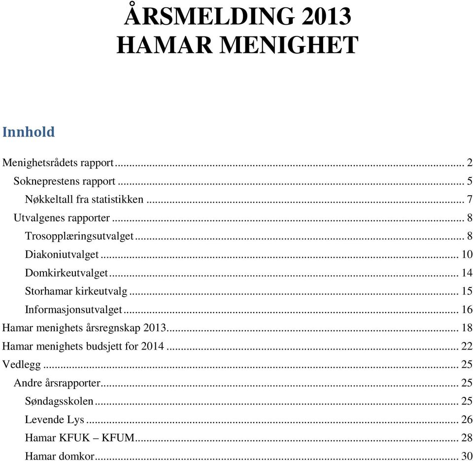 .. 10 Domkirkeutvalget... 14 Storhamar kirkeutvalg... 15 Informasjonsutvalget... 16 Hamar menighets årsregnskap 2013.