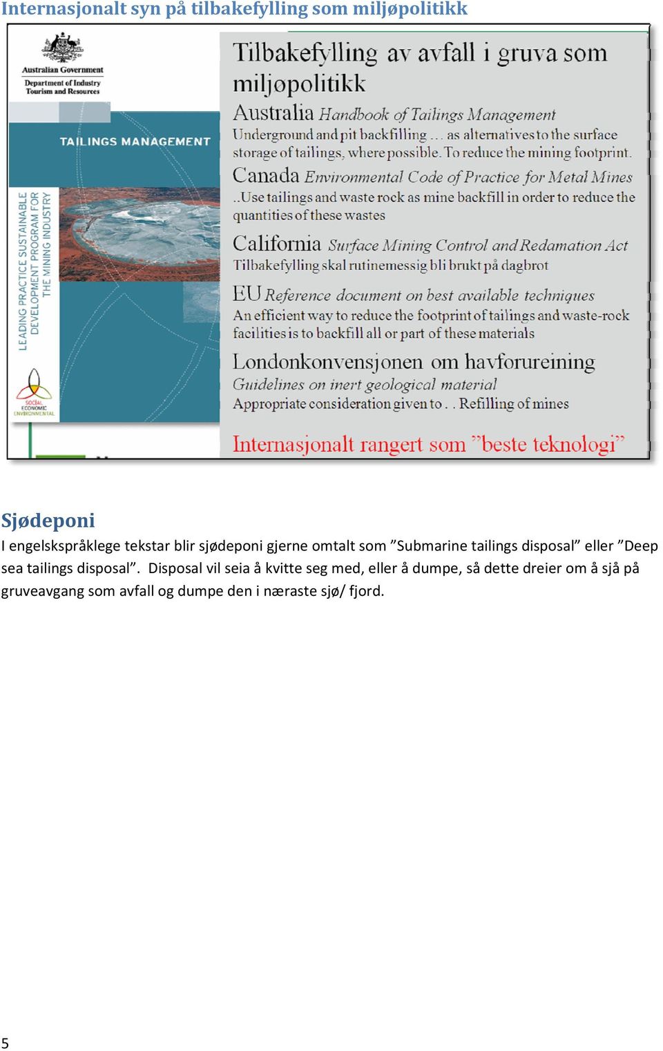 disposal eller Deep sea tailings disposal.