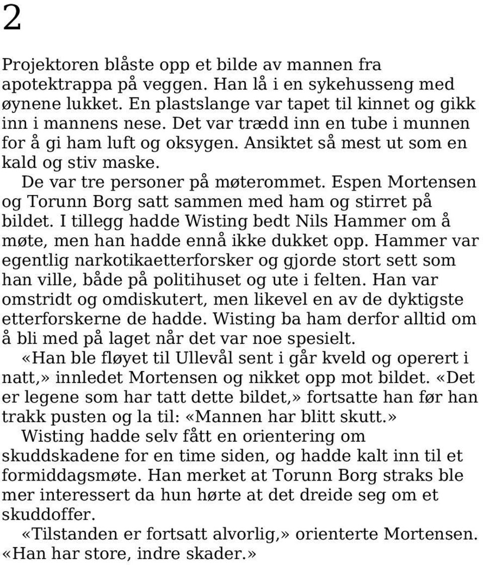 Espen Mortensen og Torunn Borg satt sammen med ham og stirret på bildet. I tillegg hadde Wisting bedt Nils Hammer om å møte, men han hadde ennå ikke dukket opp.