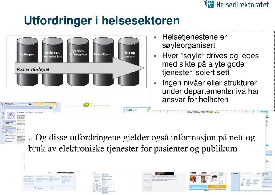 strukturer under departementsnivå har ansvar for helheten.
