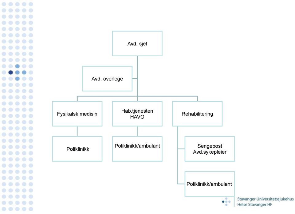 tjenesten HAVO Rehabilitering