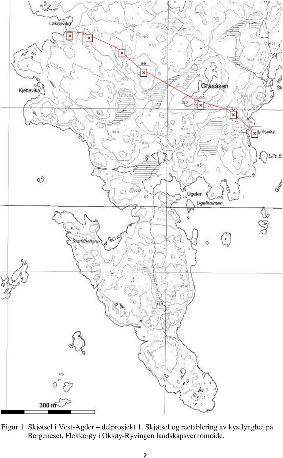 Skjøtsel og reetablering av