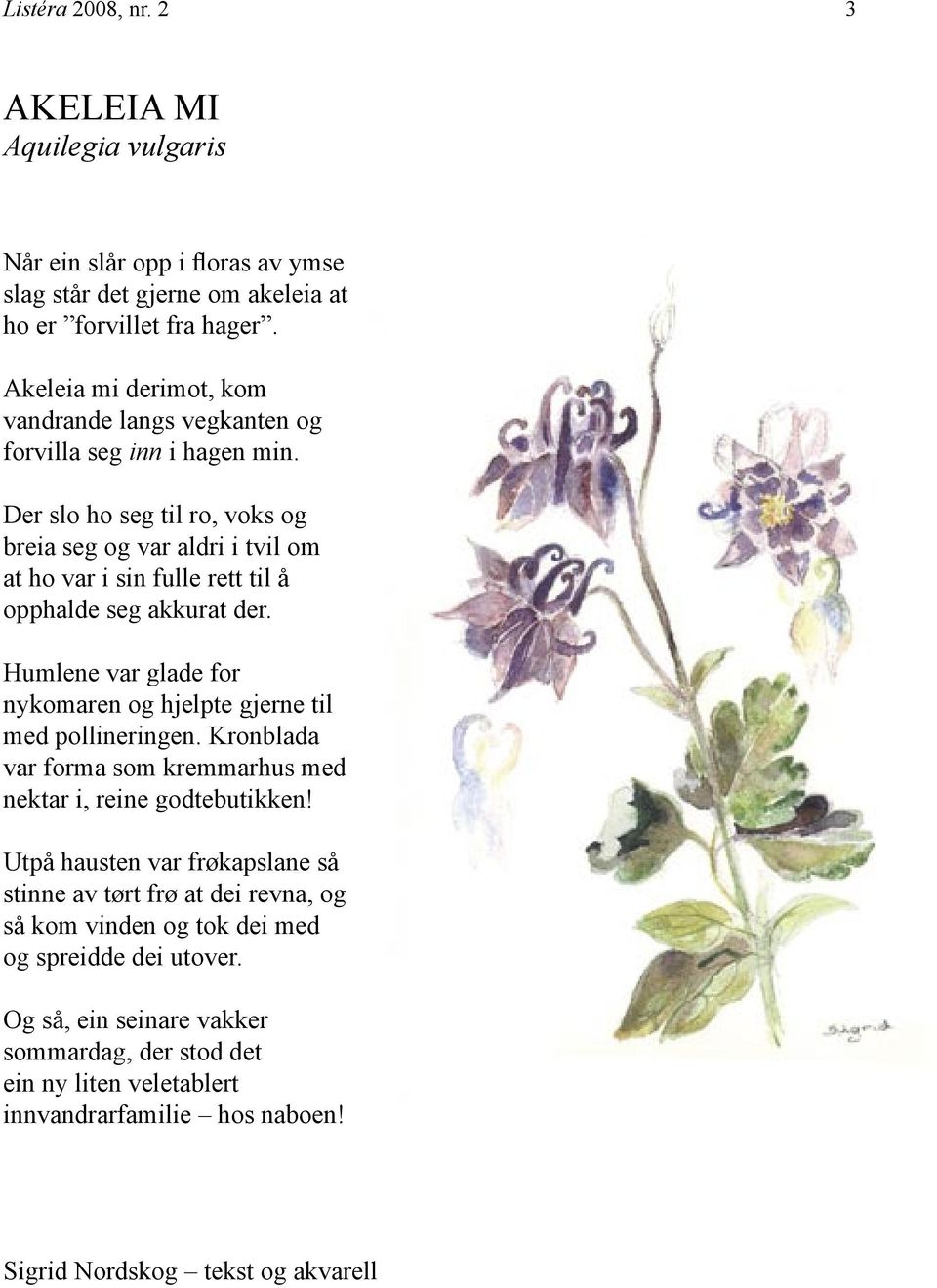 Der slo ho seg til ro, voks og breia seg og var aldri i tvil om at ho var i sin fulle rett til å opphalde seg akkurat der. Humlene var glade for nykomaren og hjelpte gjerne til med pollineringen.