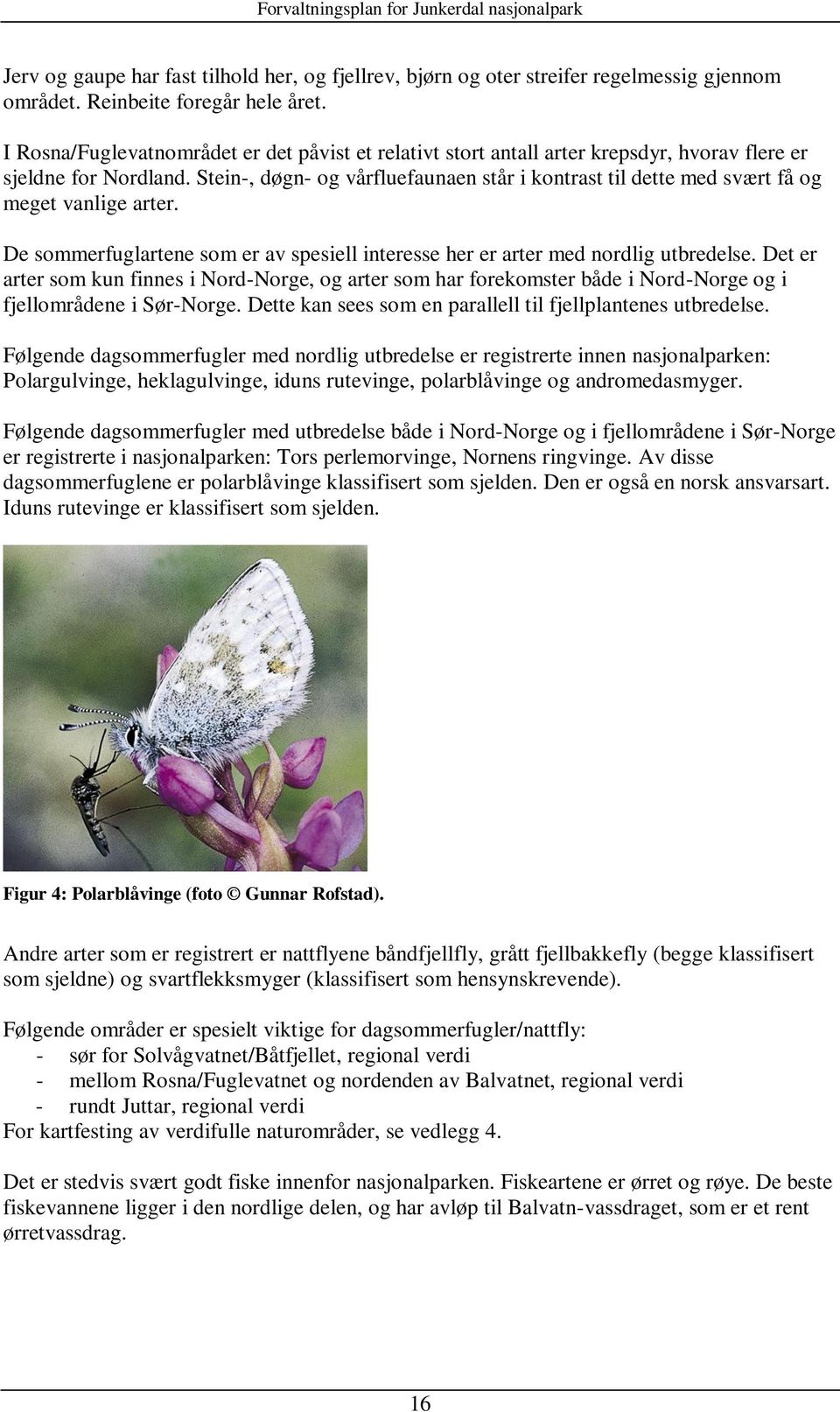 Stein-, døgn- og vårfluefaunaen står i kontrast til dette med svært få og meget vanlige arter. e sommerfuglartene som er av spesiell interesse her er arter med nordlig utbredelse.