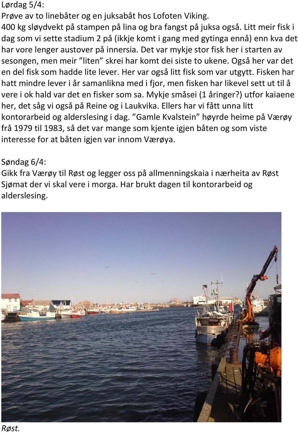 Det var mykje stor fisk her i starten av sesongen, men meir liten skrei har komt dei siste to ukene. Også her var det en del fisk som hadde lite lever. Her var også litt fisk som var utgytt.