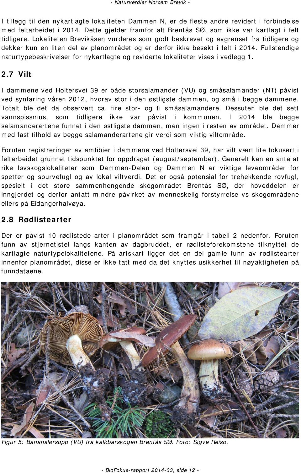 Fullstendige naturtypebeskrivelser for nykartlagte og reviderte lokaliteter vises i vedlegg 1. 2.