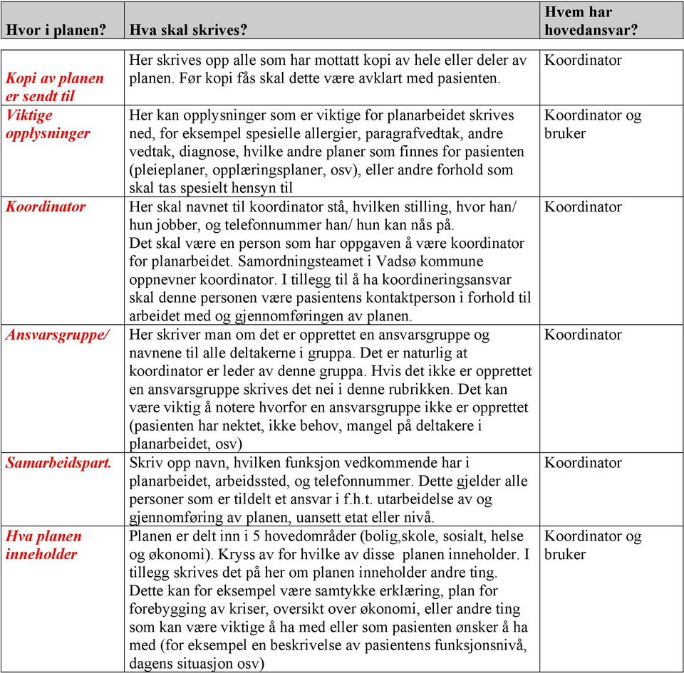 Her kan opplysninger som er viktige for planarbeidet skrives ned, for eksempel spesielle allergier, paragrafvedtak, andre vedtak, diagnose, hvilke andre planer som finnes for pasienten (pleieplaner,