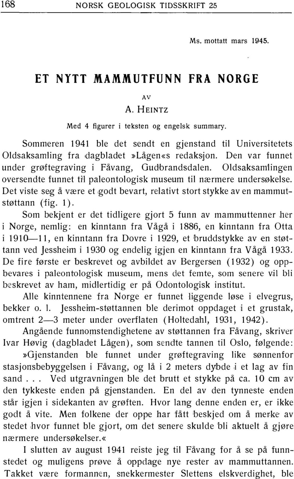 Oldsaksamlingen oversendte funnet ti'! paleontologisk museum til nærmere undersøkelse. Det viste seg å være et,godt bevart, relativt stort stykke av en mammutstøttann ('fig. 1).