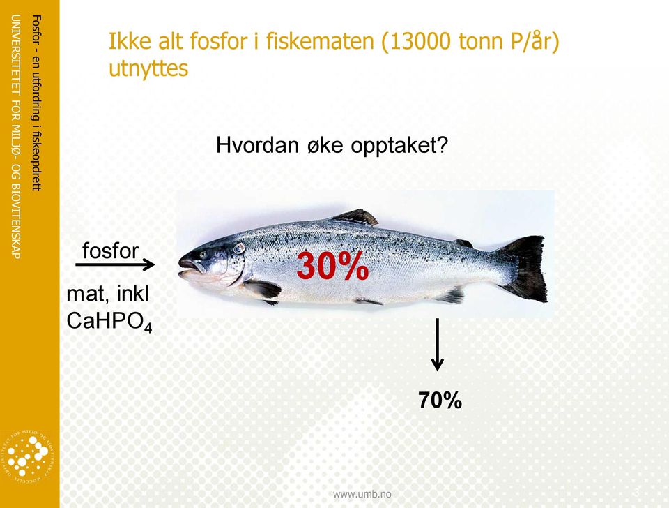 P/år) utnyttes fosfor mat,