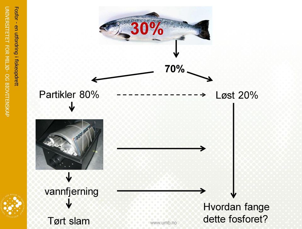 Tørt slam Hvordan