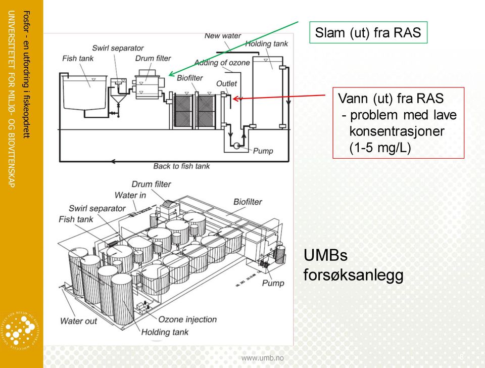 med lave konsentrasjoner