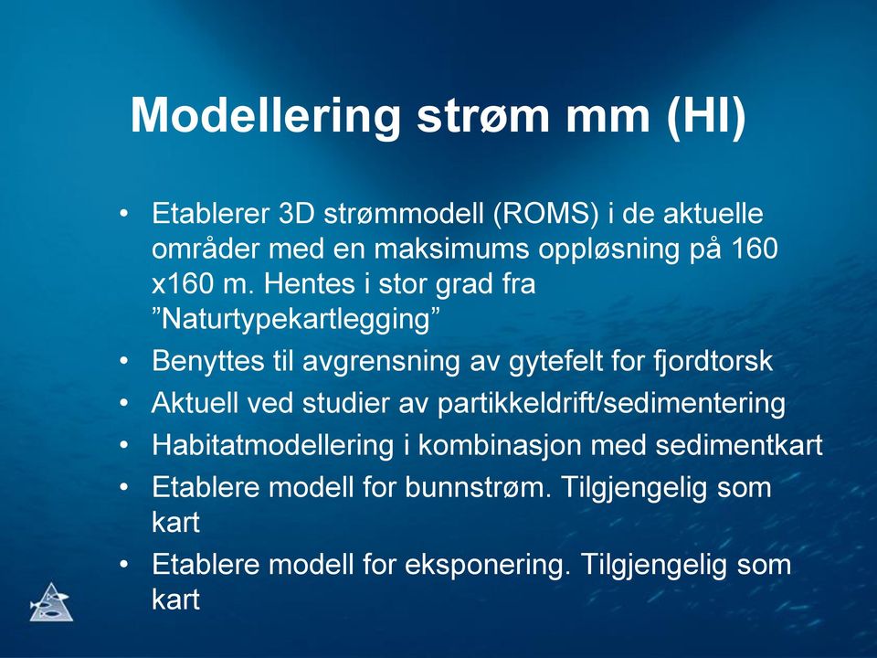 Hentes i stor grad fra Naturtypekartlegging Benyttes til avgrensning av gytefelt for fjordtorsk Aktuell