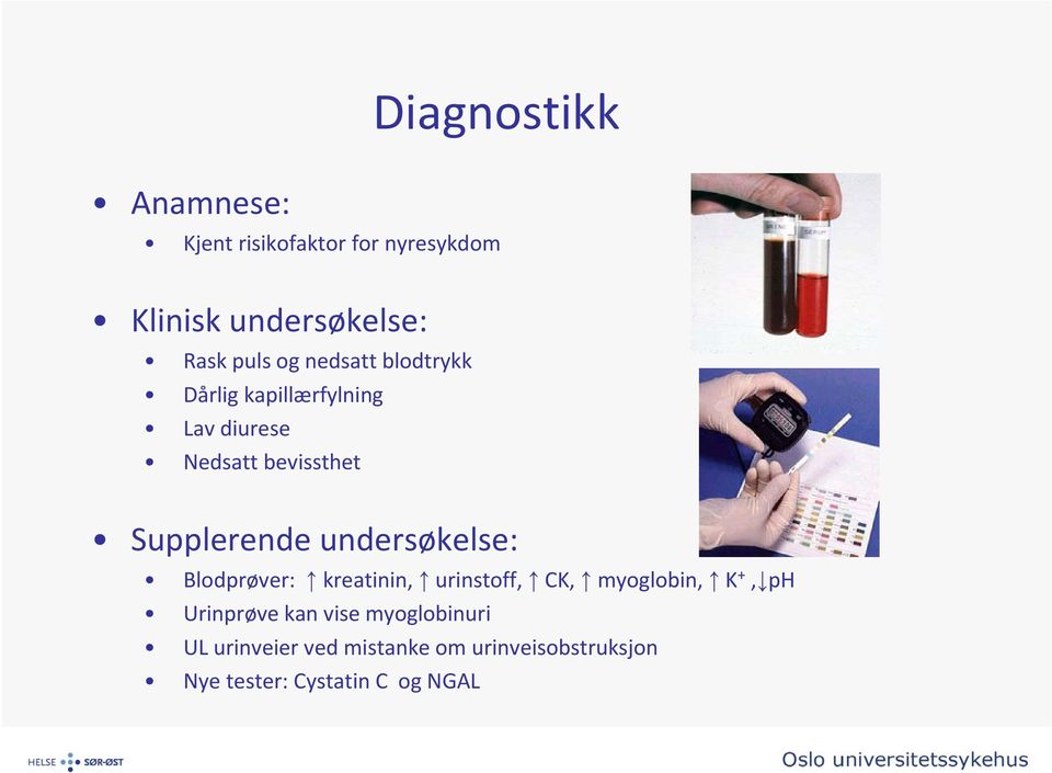 undersøkelse: Blodprøver: kreatinin, urinstoff, CK, myoglobin, K +, ph Urinprøve kan vise