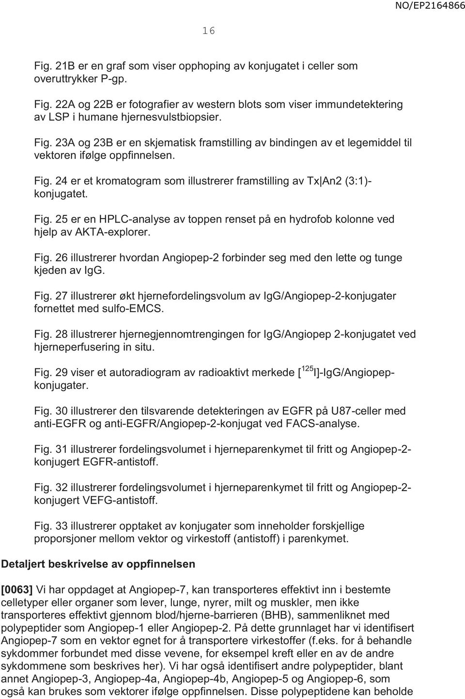 24 er et kromatogram som illustrerer framstilling av Tx An2 (3:1)- konjugatet. Fig. 25 er en HPLC-analyse av toppen renset på en hydrofob kolonne ved hjelp av AKTA-explorer. Fig. 26 illustrerer hvordan Angiopep-2 forbinder seg med den lette og tunge kjeden av IgG.