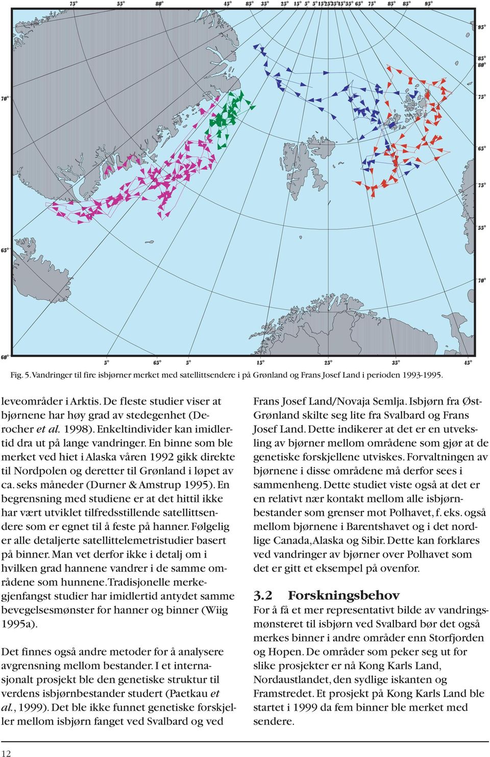 en binne som ble merket ved hiet i Alaska våren 1992 gikk direkte til Nordpolen og deretter til Grønland i løpet av ca.seks måneder (Durner & Amstrup 1995).