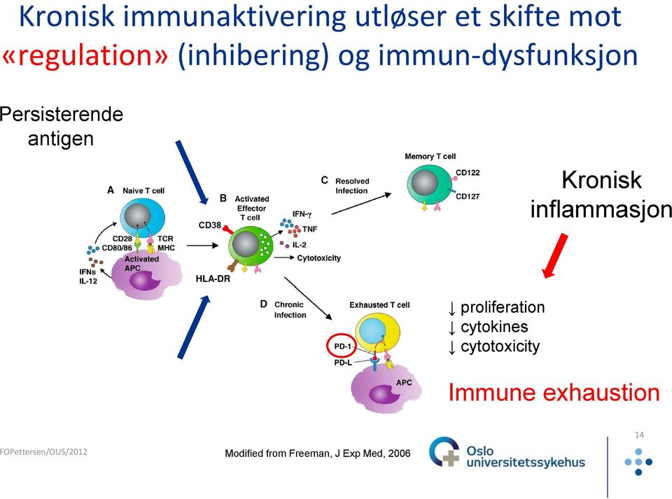 Kronisk inflammasjon HLA-DR proliferation cytokines