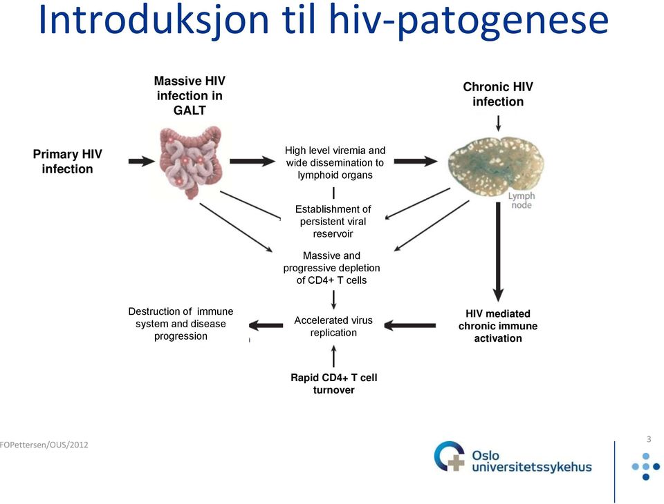 viral reservoir Massive and progressive depletion of CD4+ T cells Destruction of immune system and