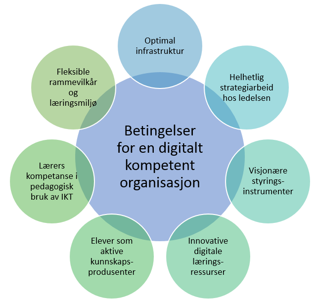 VEDLEGG 2 Teori: Digital kompetanse i et systemperspektiv En digitalt kompetent organisasjon handler om de organisatoriske vilkår og rammer som kan lette og styrke arbeidet med utvikling av de