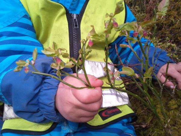 Påskeaktiviteter i Florvåg barnehage: Påskelunsj Påskeverksted Samling med påskesanger, eventyr og refleksjon Vi filosoferer rundt våren og nytt liv Når våren kommer snakker vi om nytt liv,