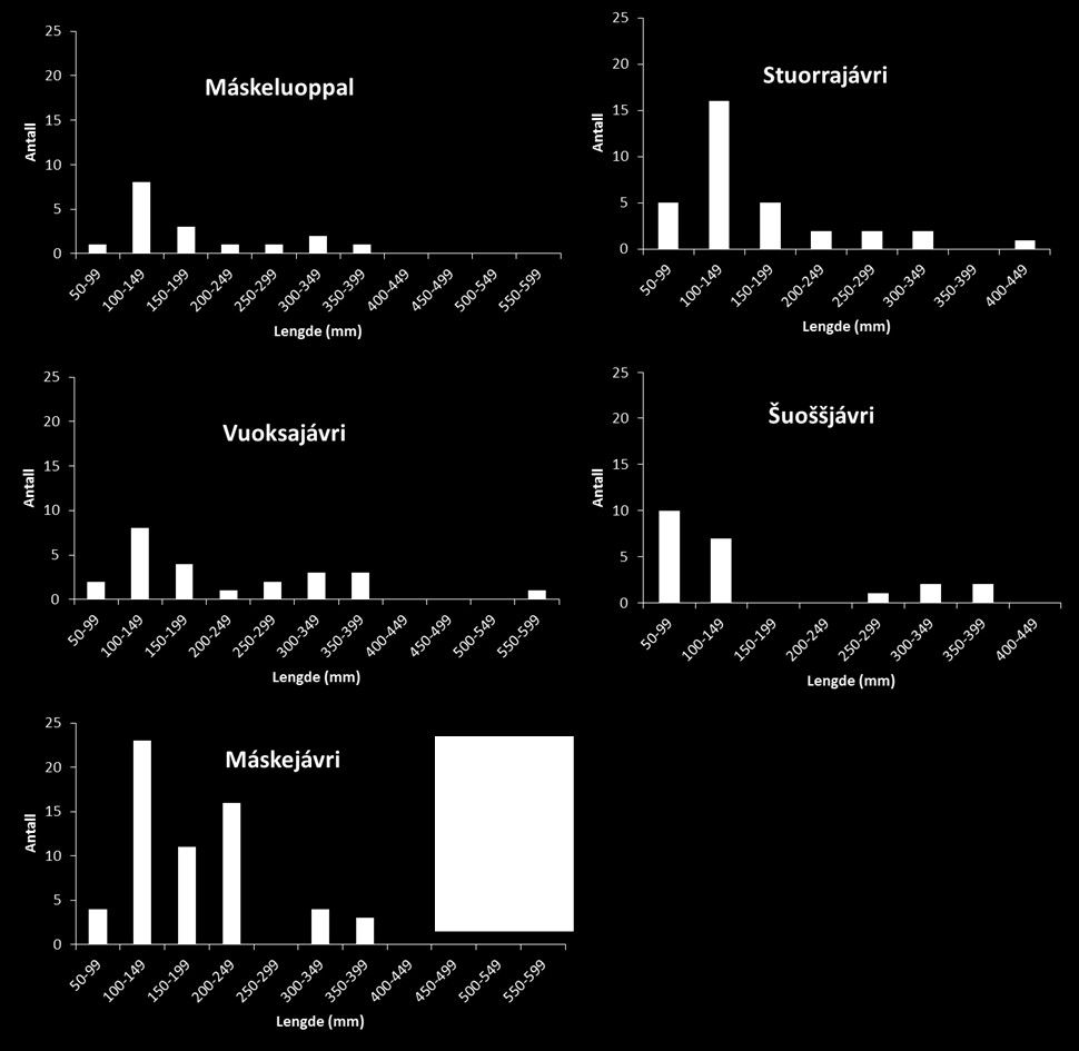 Vedlegg Fig 5: Garnfangst i de fem undersøkte innsjøene i Tanavassdraget. Innsatsen var lik i alle innsjøene.