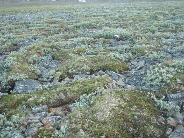 Hvis finkornige sedimenter er dekket av grovere sedimenter oppå, kan raviner være en viktig indikator på at det er et større område enn det som overflatekartleggingen tyder på som kan være