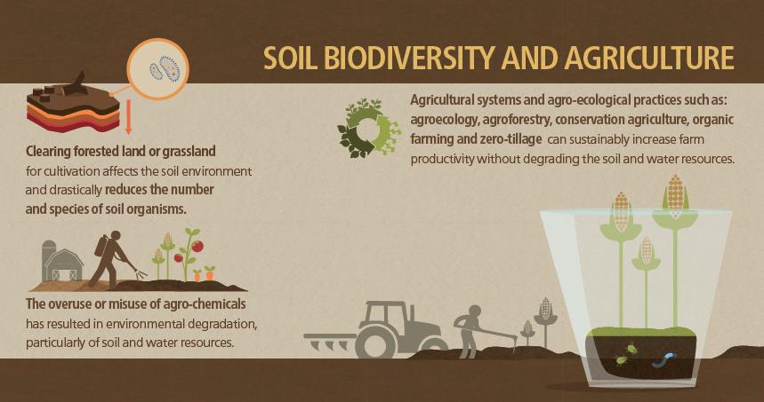 Biodiversitetens