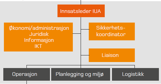 Organisering etter prinsippet om enhetlig ledelse, ELS I tilfeller der innsatsområdet er så stort