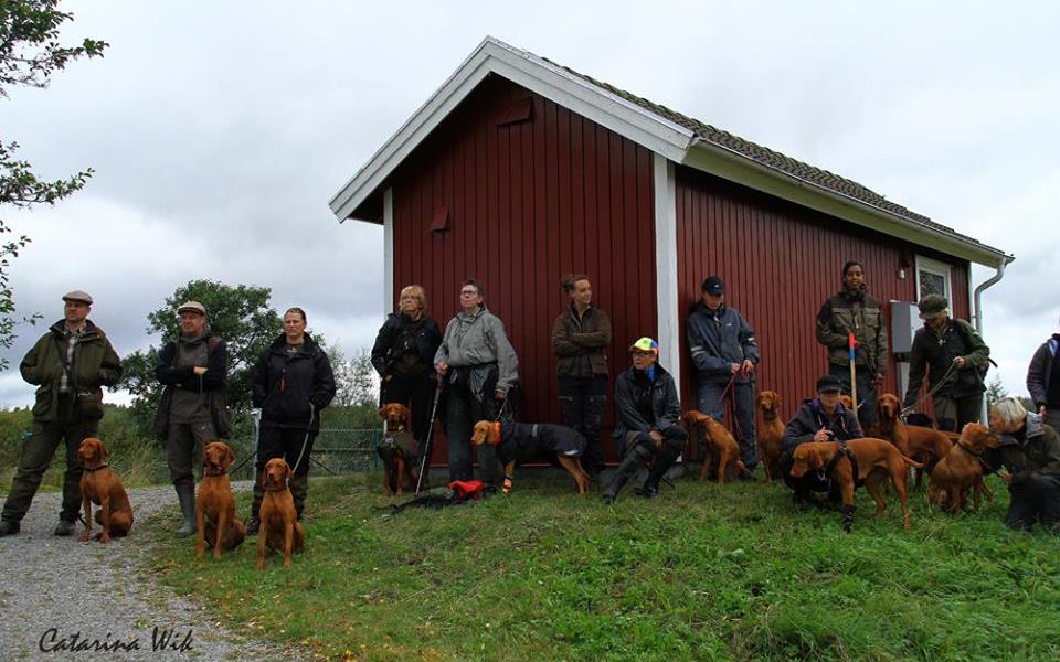 søkte ikke selvstendig nok. Etter å ha fått tilsnakk for å henge på makker, gikk Brus enda trangere og så måtte han avreagere ved å leke seg litt med å kaste gress i været.