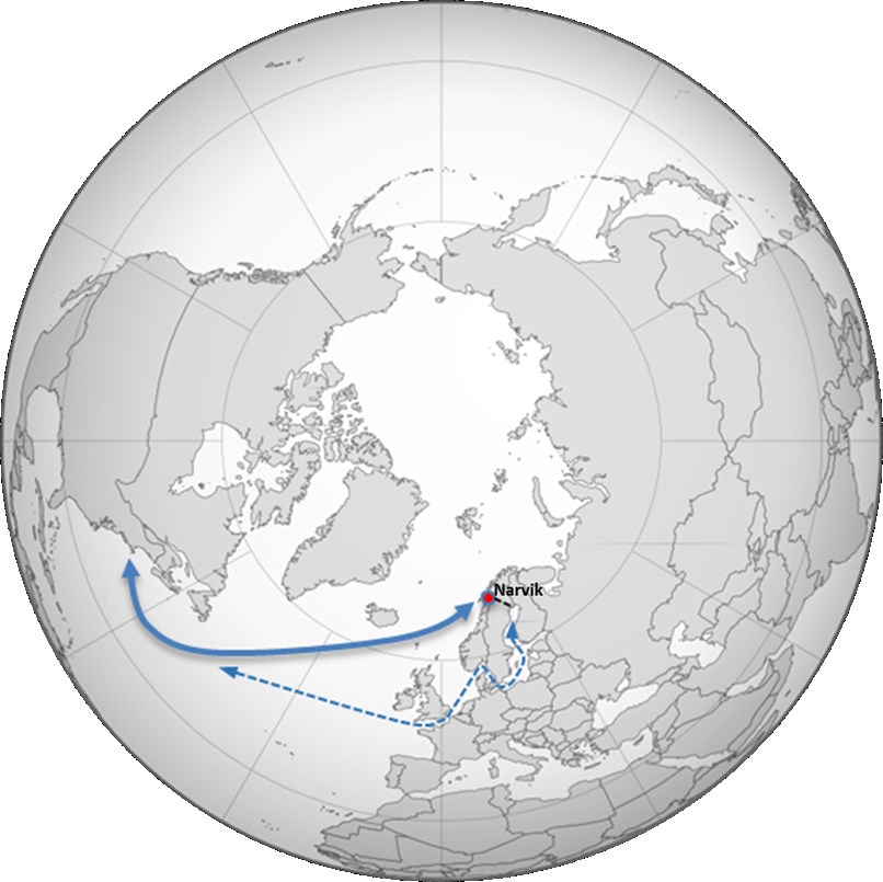 with Narvik Port Authority Rail: Haparanda/Boden Narvik With