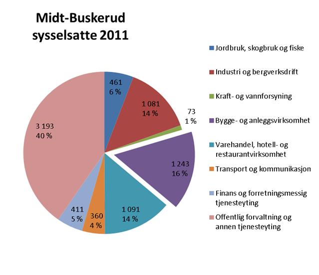 Næringsstruktur Midt-Buskerud 18 978 innbyggere Arbeidsstyrken er på om lag 9