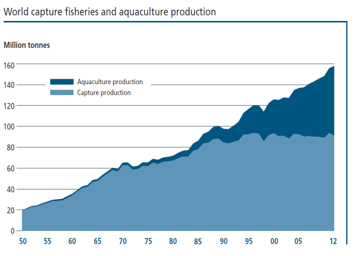 Fiskeri "stagnerer" - mye av økningen må komme gjennom akvakultur Størst