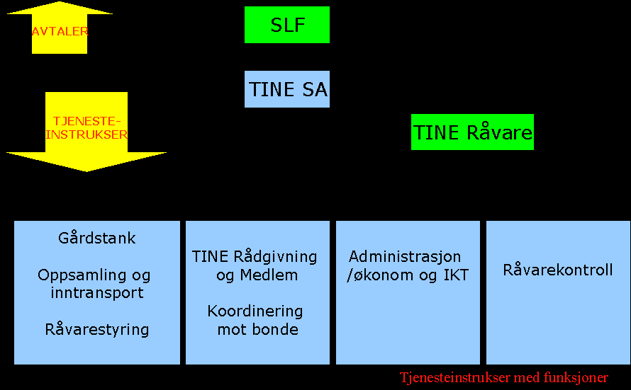 B. Oppgaver som de ulike deler av TINE SA ivaretar for og på vegne av TINE Råvare.