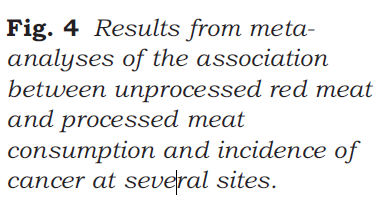 Fra: Wolk A. Potential health hazards of eating red meat.