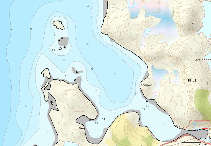 Figur 21. Oversikt og avgrensing av prioriterte naturtyper registrert i Trosnavågen fra semikvantitativ kartlegging og befaring. Tareskogsbunn (brunt område), Ålegraseng (grønt område).