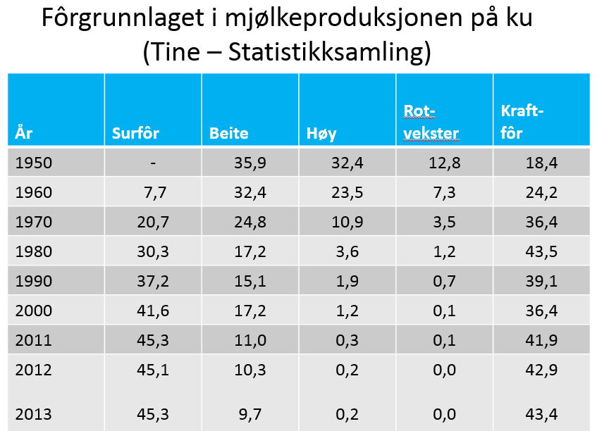 Grovfôr til melkeku Norges miljø-