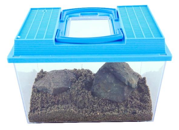 Livet i fjæra 5.-7.trinn PROSJEKT Lag ditt eget saltvannsakvarium. Slik gjør du: Fyll sand i bunnen av akvariet (4 cm). Fyll akvariet ¾ fullt med sjøvann.