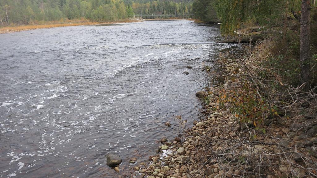 Overvåking av utslipp til Tovdalselva 20 Figur 12 Graf som viser resultatene fra logging 23.9.