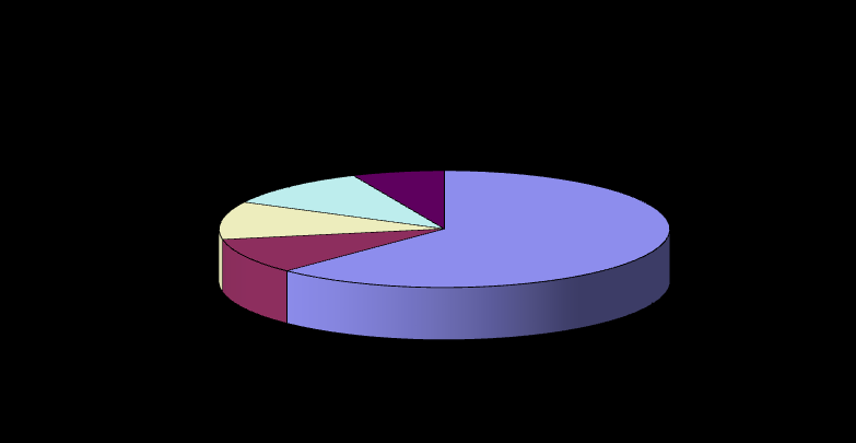 Figur 2.4.1 Brutto driftsutgifter pr. utgiftstype, budsjett 2015 I en tjenestebasert virksomhet vil lønnsutgiftene være den dominerende utgiftsarten.