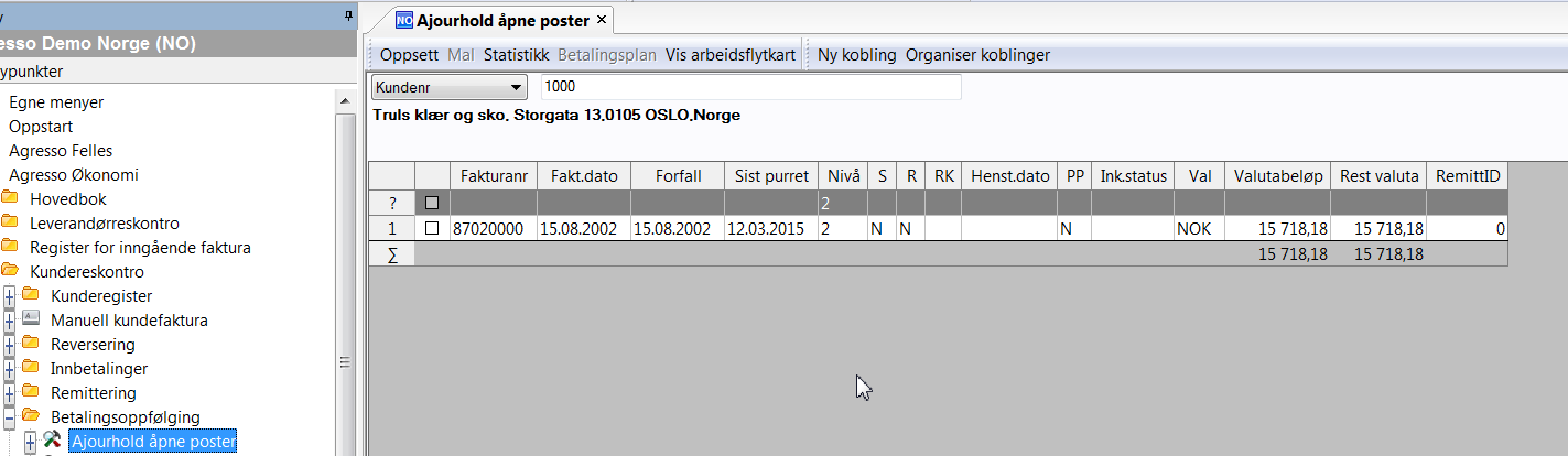 Kundereskontro Betalingsplan Betalingsplan